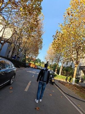 Orman Kaynak Araştırması için Çok Modlu 3D LiDAR HiSLAM